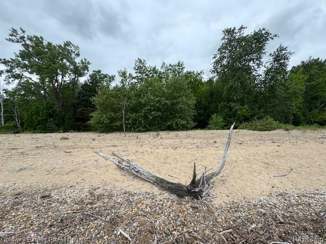 Property Photo: 00 Lakeshore Road MI 48434