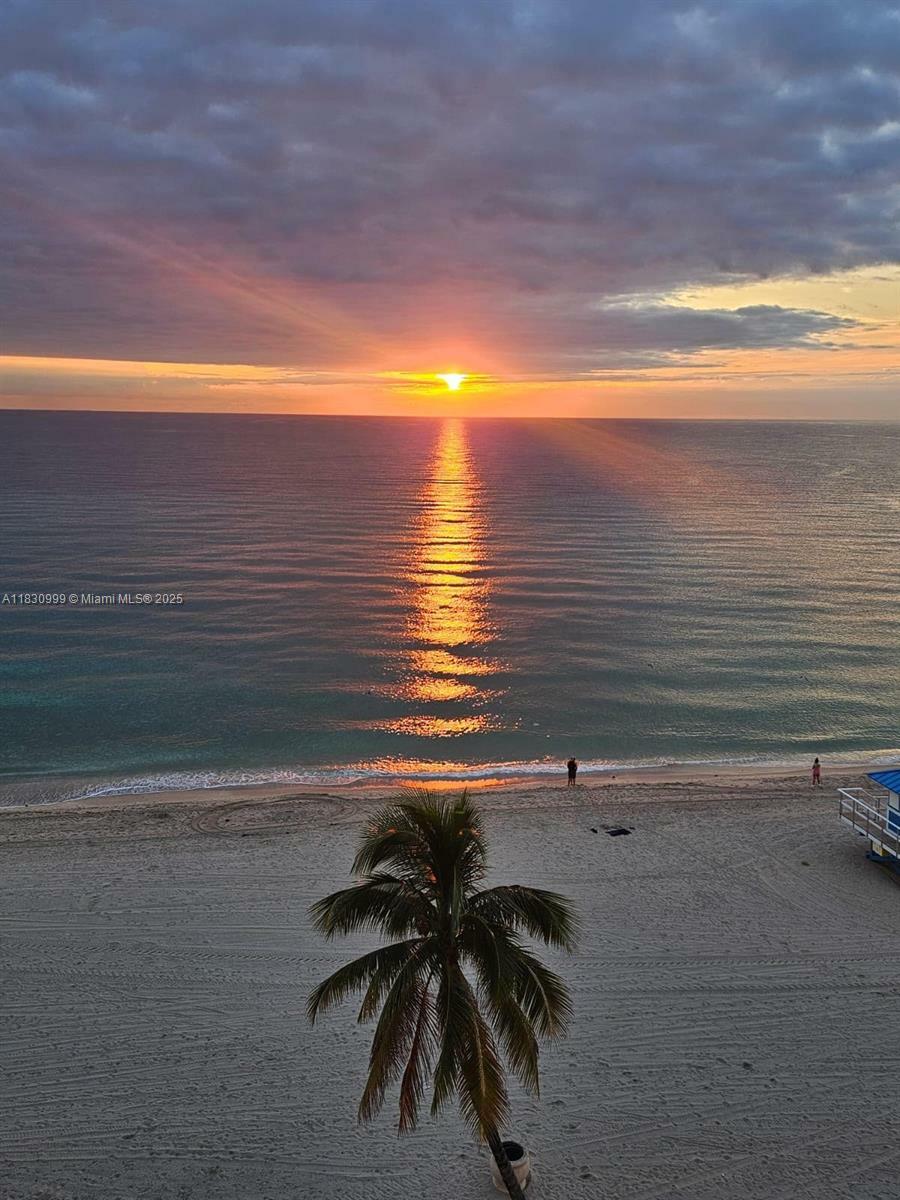 400 N Surf Rd 804  Hollywood FL 33019 photo