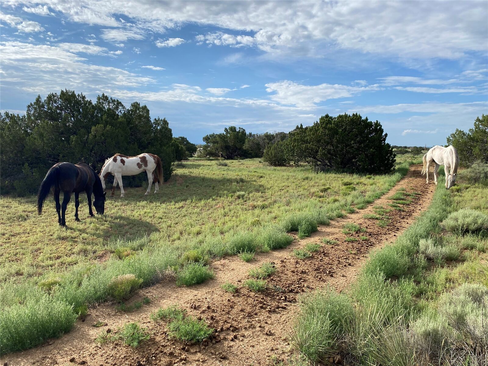 Property Photo:  24 Lone Butte Drive  NM 87508 