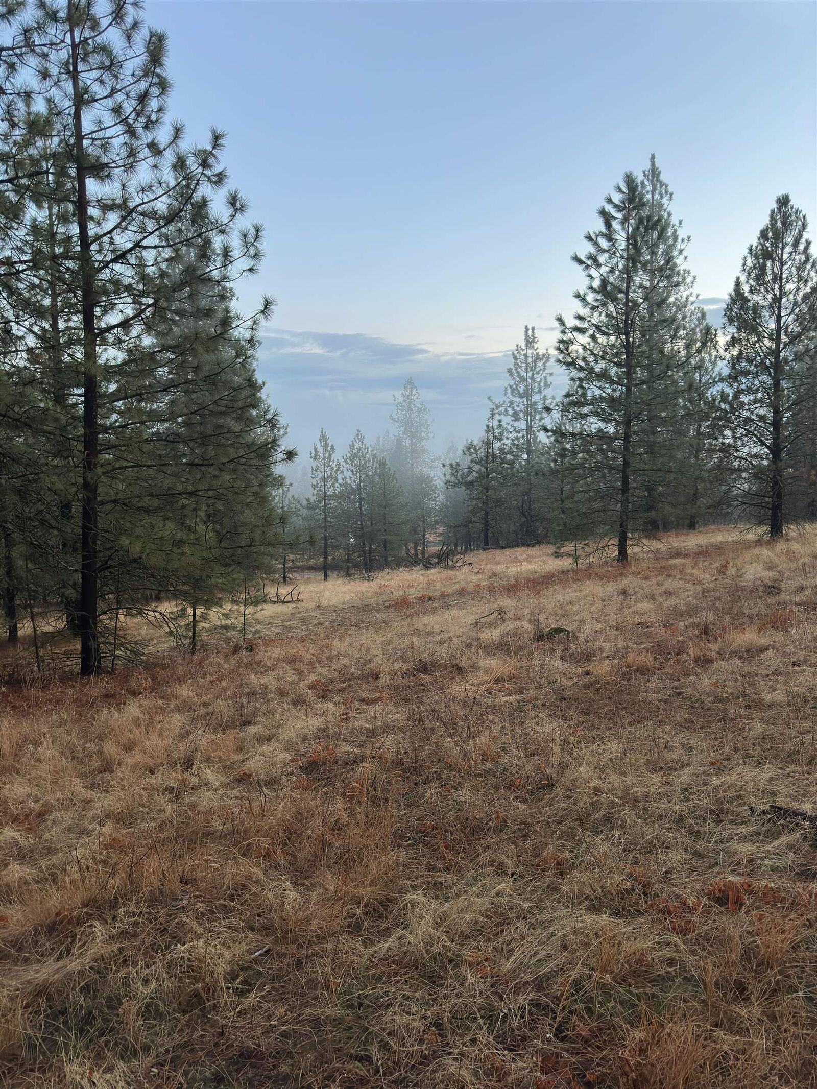 Property Photo: 0 E Robin Ln WA 99003