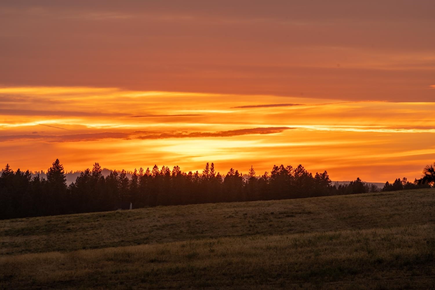 Property Photo: 10900 S Silver Hill Rd WA 99223