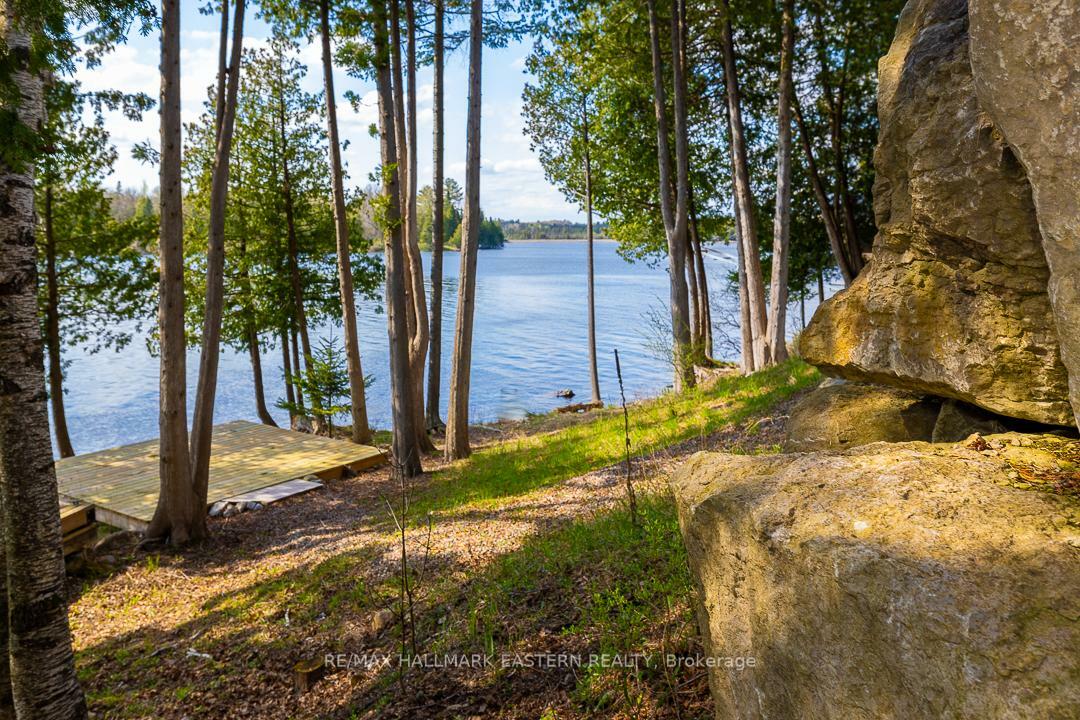 308 Indian Point Road  Kawartha Lakes ON K0M 1K0 photo