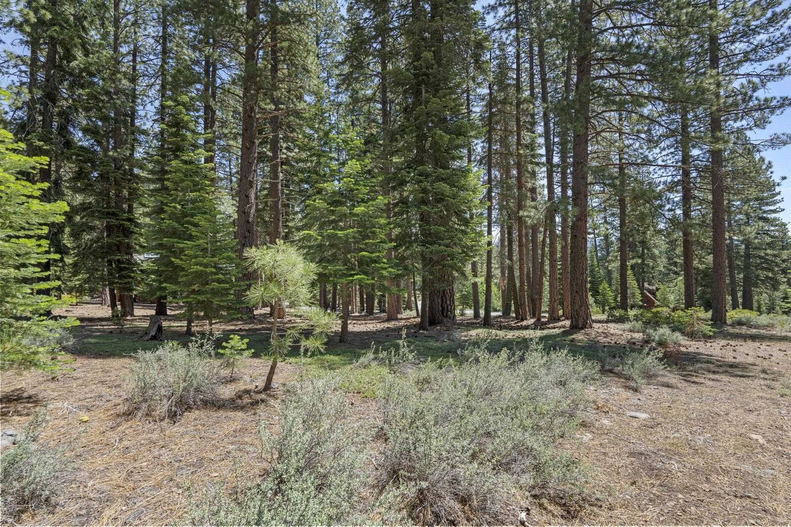 Property Photo:  12708 Granite Drive  CA 96161 