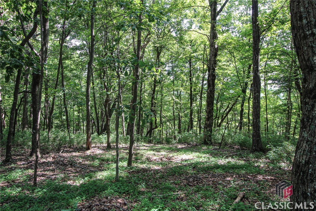 Property Photo: 8088 Ridgeview Drive GA 30143