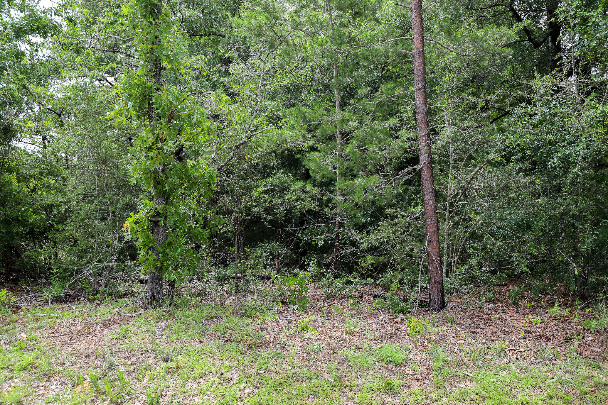 Property Photo: Lot 15 E Michaelangelo Road FL 32433