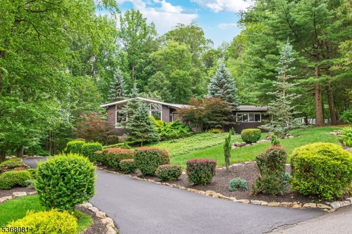 7 Deer Ct  Chester Twp. NJ 07930 photo