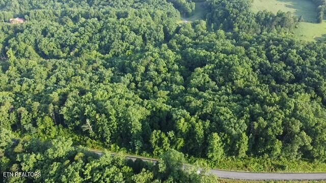 Lot 4 Woodland Creek Drive  Dandridge TN 37725 photo