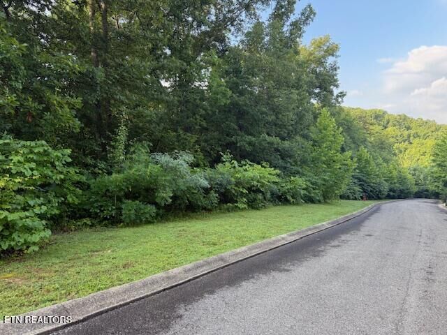Lot 15 Woodland Creek Drive  Dandridge TN 37725 photo