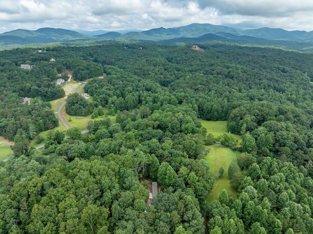 Property Photo:  160 Southern Pines Drive  GA 30540 