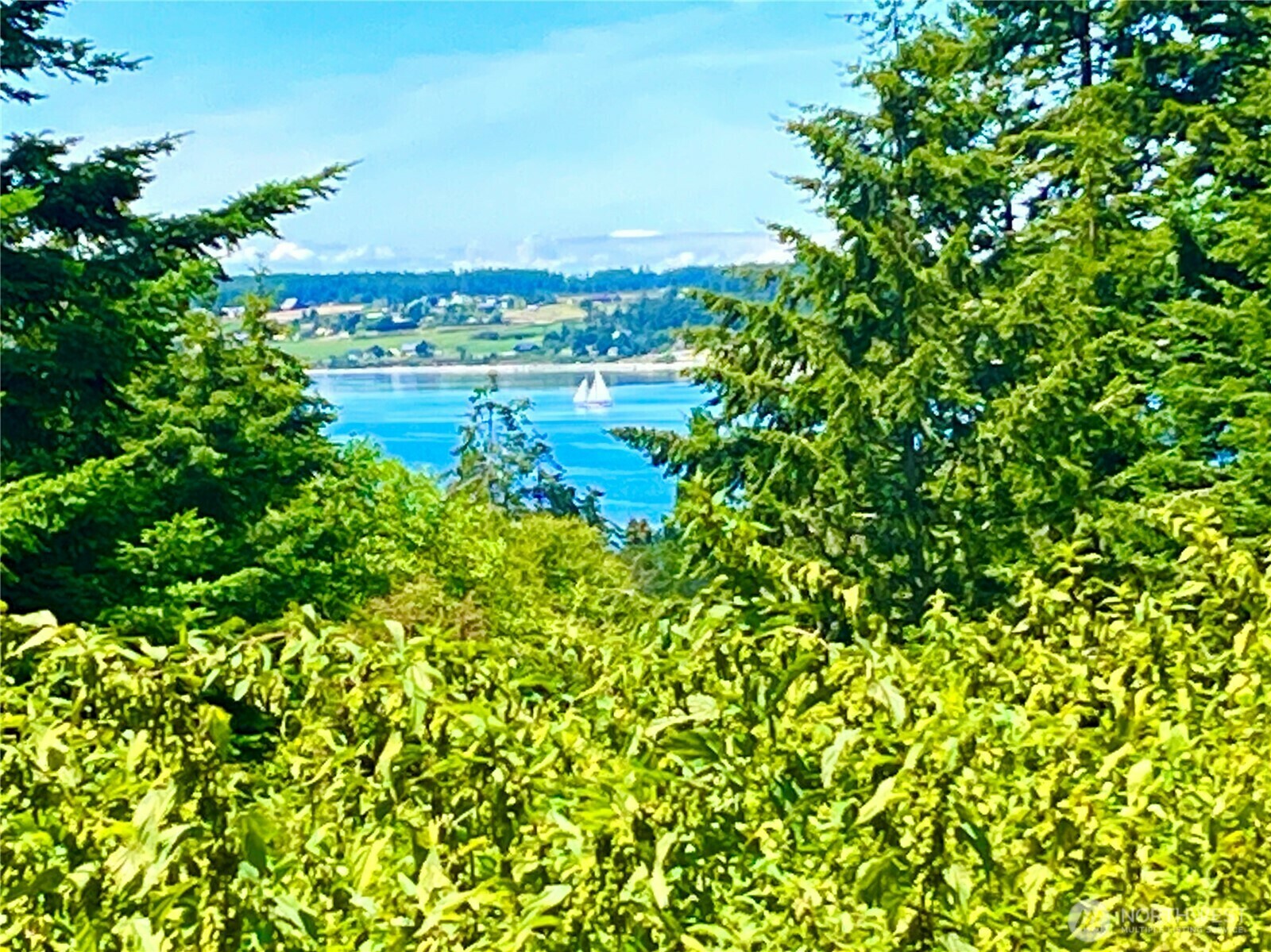 980 NE Pennington Loop  Coupeville WA 98239 photo