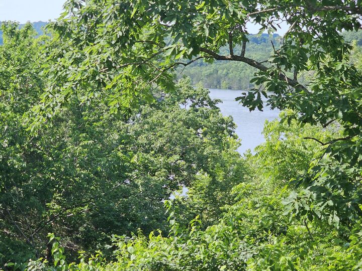 Property Photo:  27045 Hickory Drive  MO 65641 