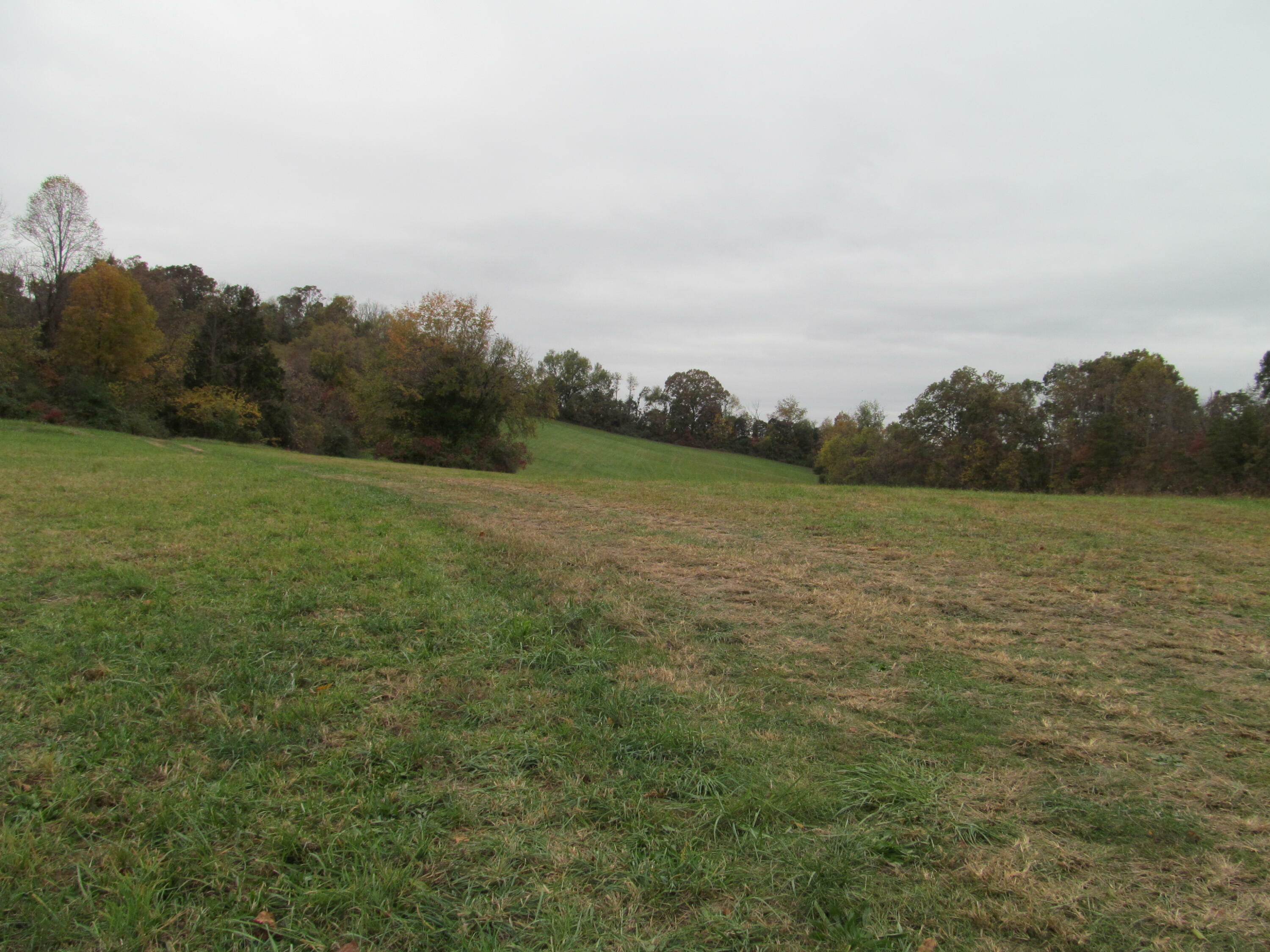 Property Photo: 793 S Pickens Bridge Road TN 37615