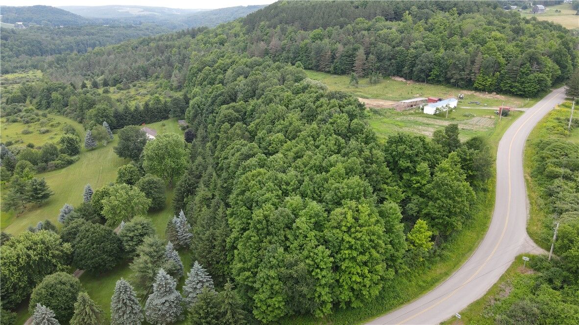Property Photo: 0 Hornell Reservoir Road NY 14843