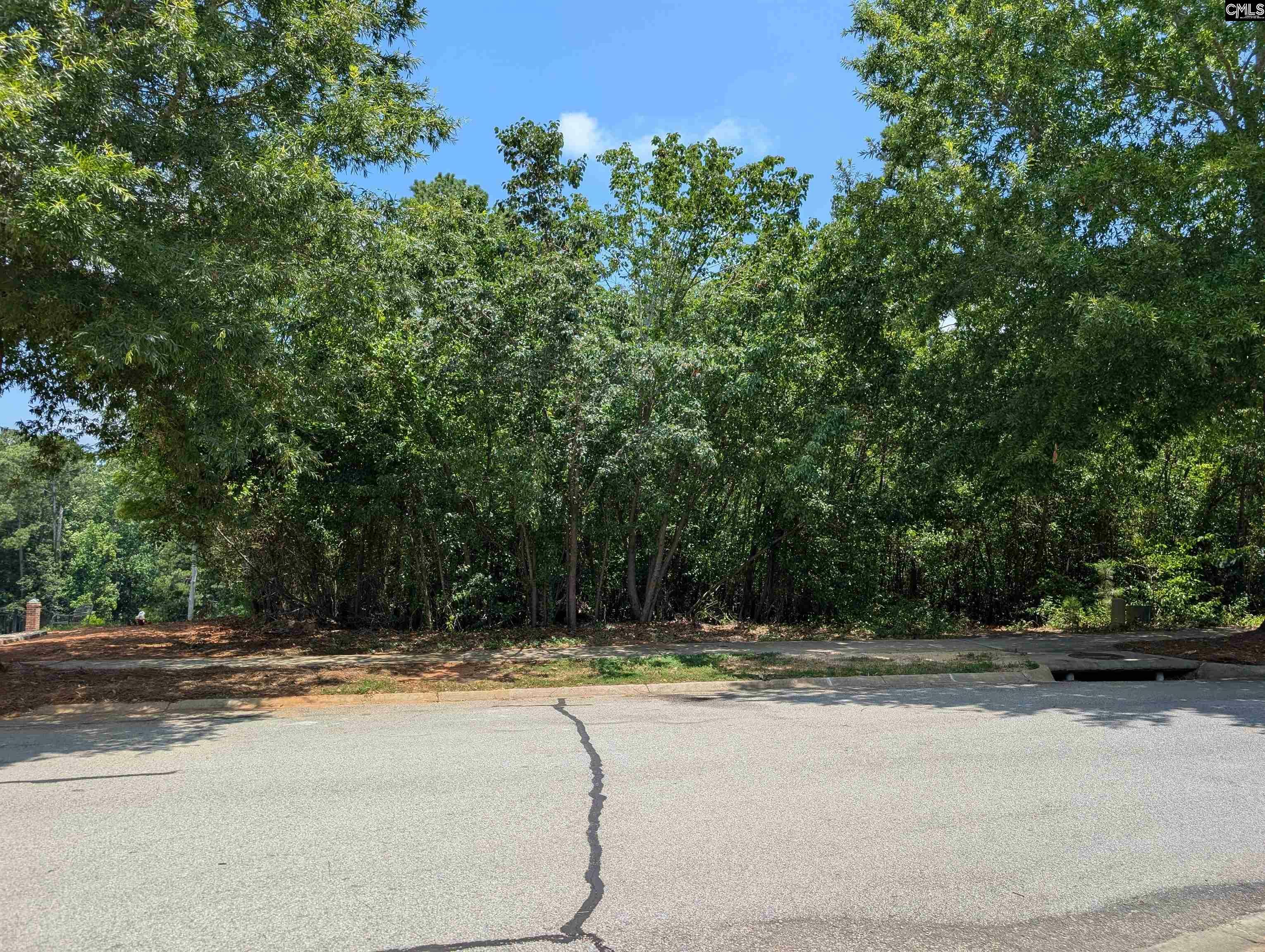 Property Photo: 1060 Coogler Crossing SC 29016