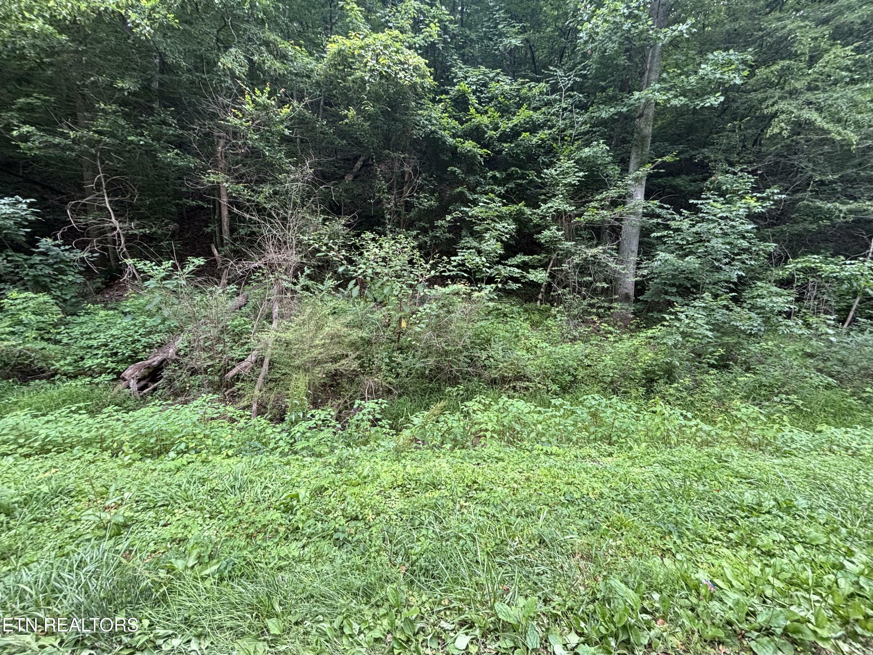 Property Photo:  Ruritan Rd  TN 37748 