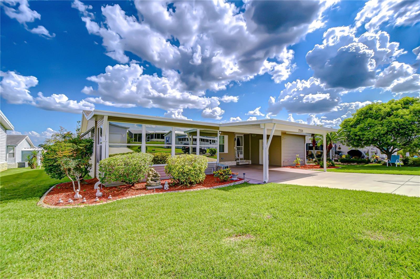Property Photo:  37526 New Horizons Boulevard  FL 33541 