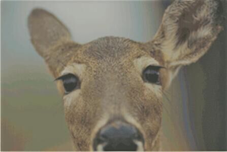 Property Photo:  123 Eagles View Drive  PA 18424 