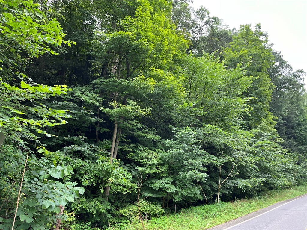Property Photo:  0 Constitution Blvd  PA 15066 