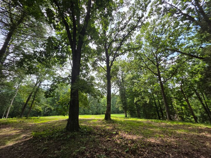 Property Photo:  0 Baggett Hollow  TN 37052 