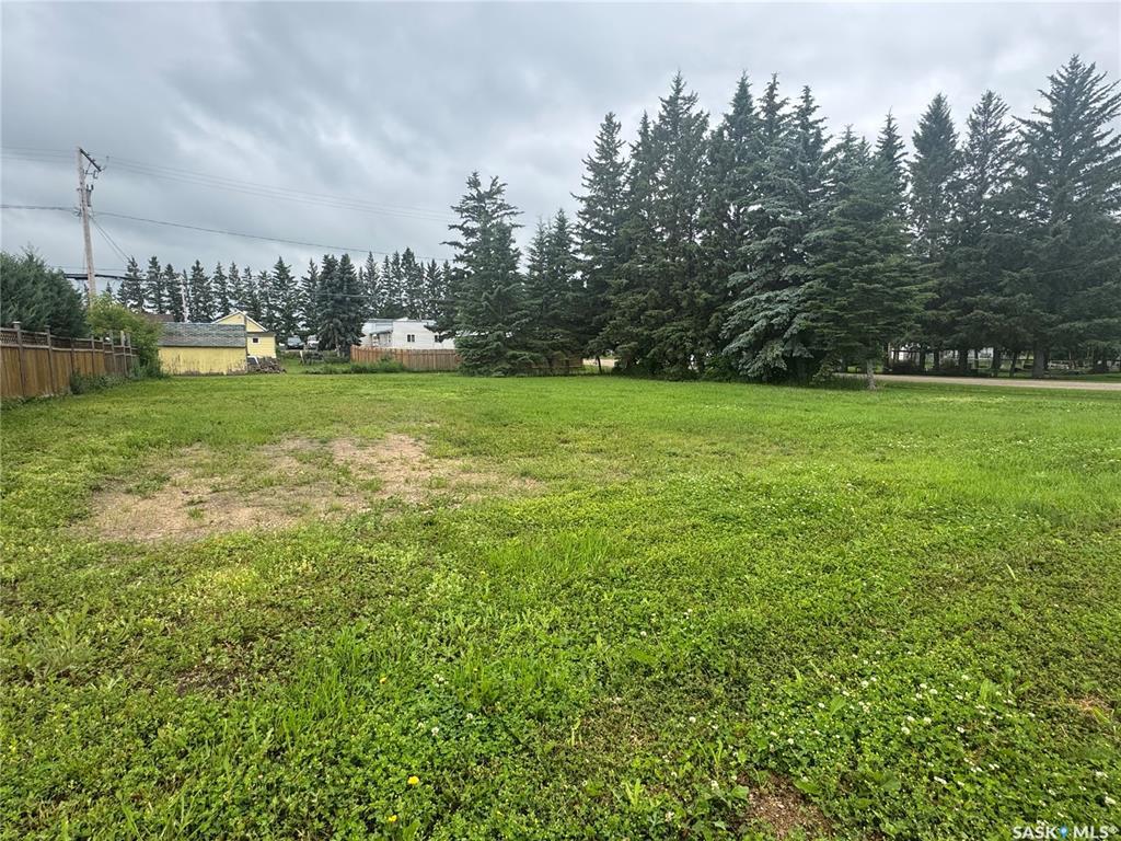 Property Photo:  420 Taylor Avenue  SK S0A 3V0 