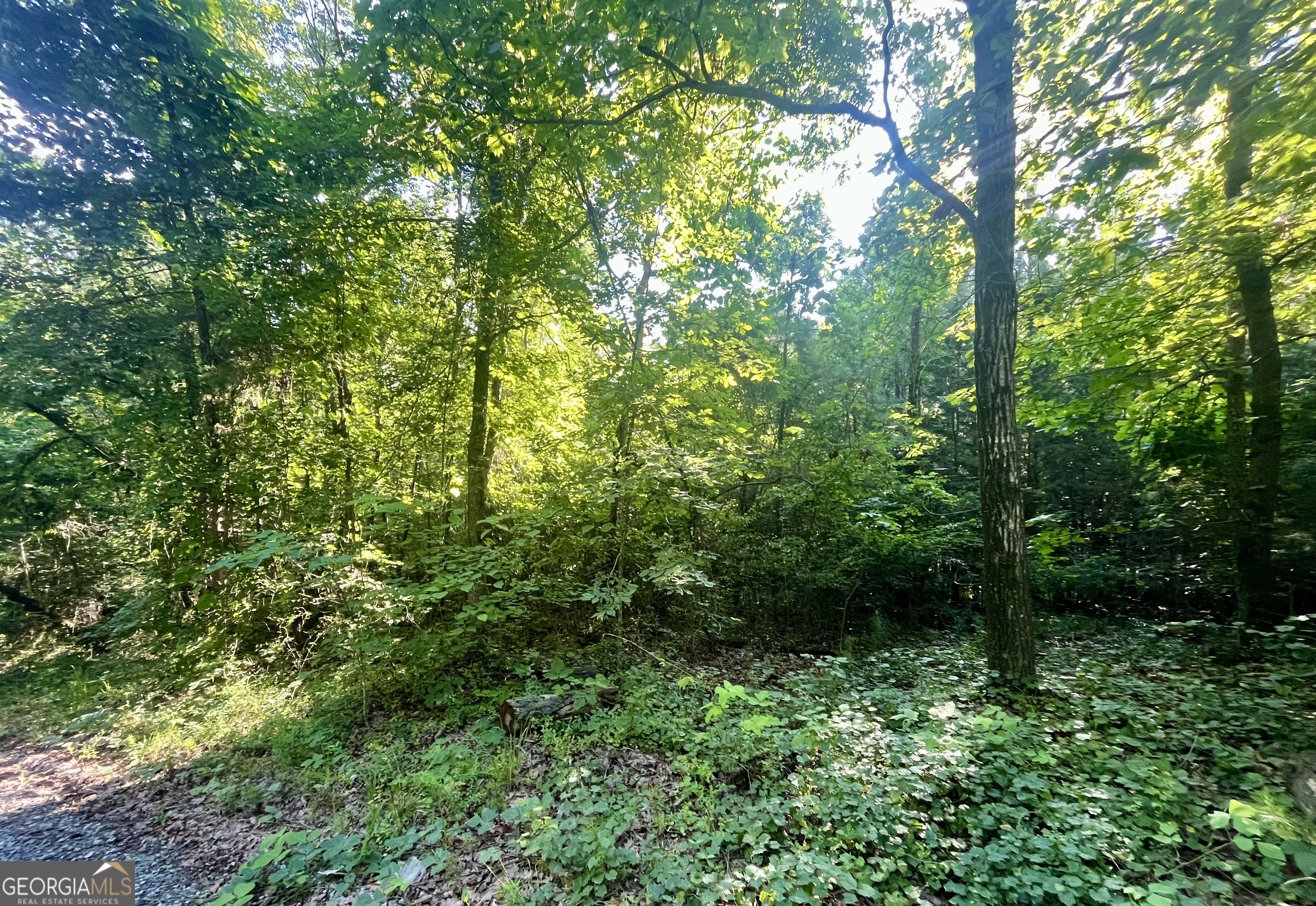Property Photo: 0 Meadowlark Drive Lot 8 GA 31064
