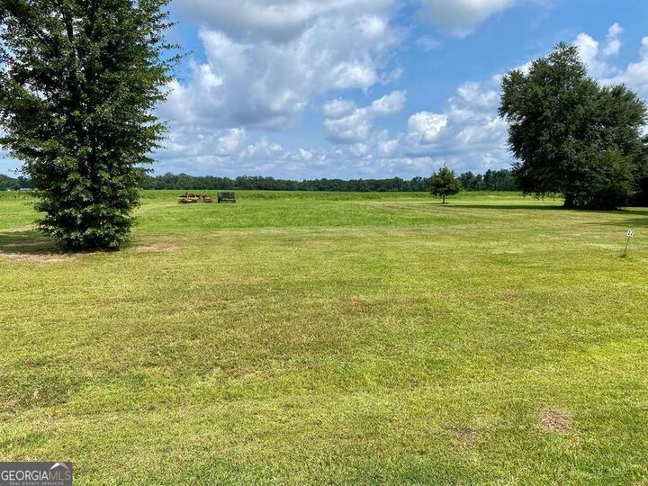 Property Photo: 565 Nectar Lane GA 31705