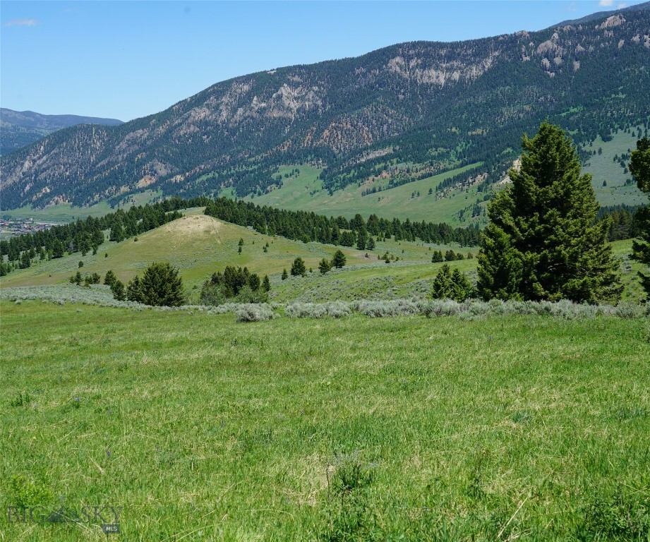 Property Photo: Tbd Timberloft MT 59716