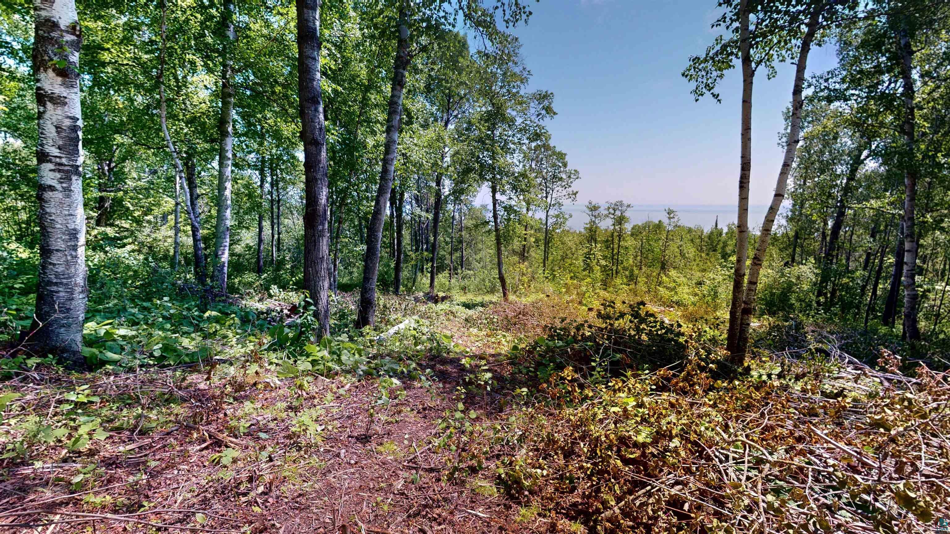 Property Photo: 122 County Road 6 MN 55604
