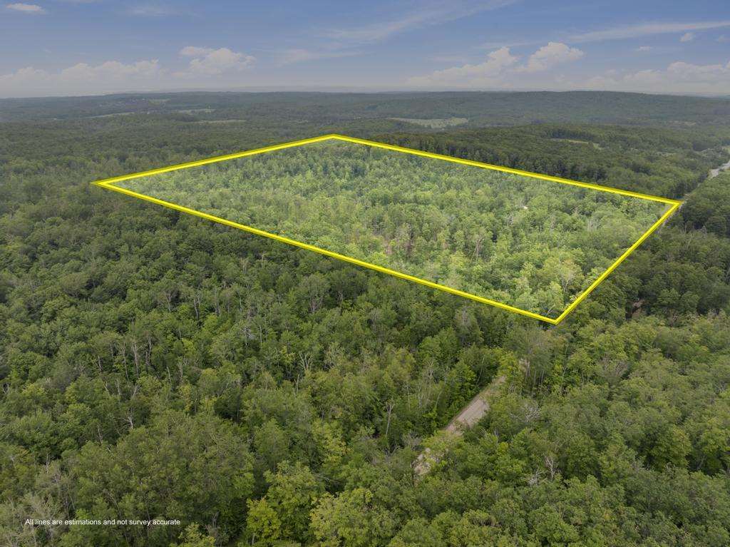 Property Photo: Tbd Wormwood MI 49740