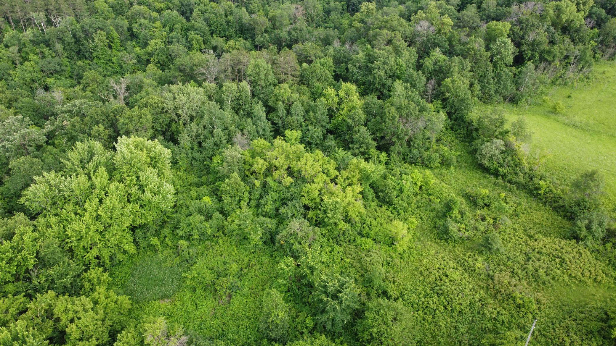 Property Photo: 30800 Hardwood Lane MN 55066