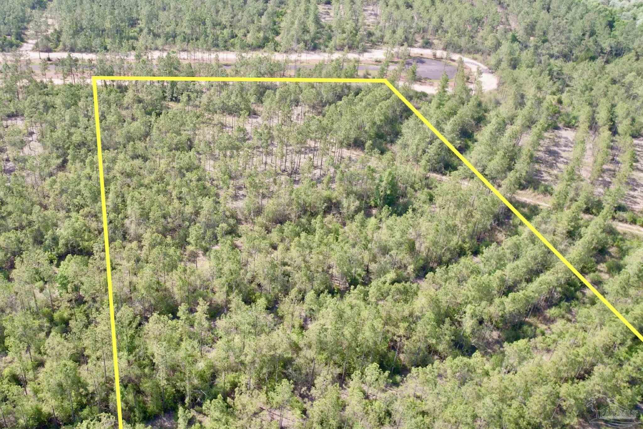 Property Photo: Lot 97 Turning Leaf Rd FL 32571