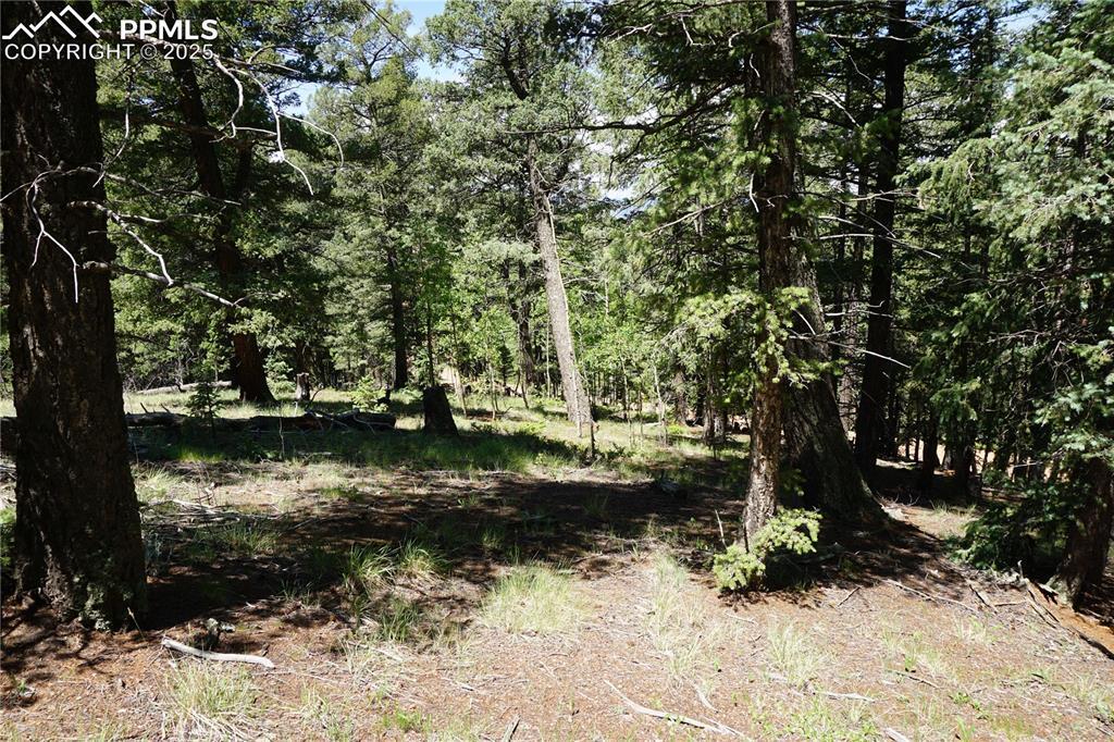 Property Photo: 1000 Bennett Drive CO 80813