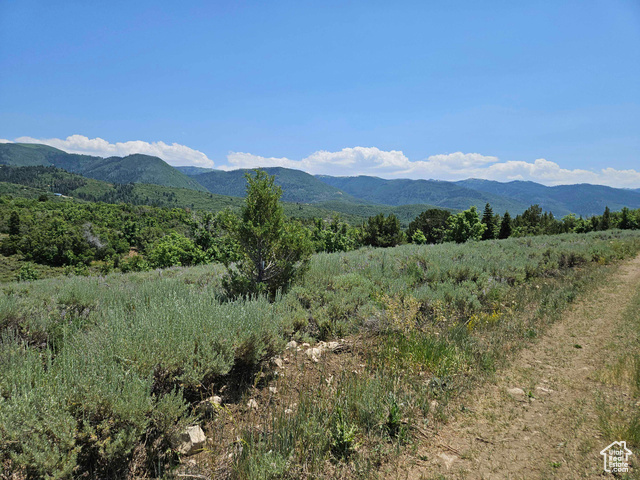 156 E Wolf Hollow Rd S 156  Fairview UT 84629 photo