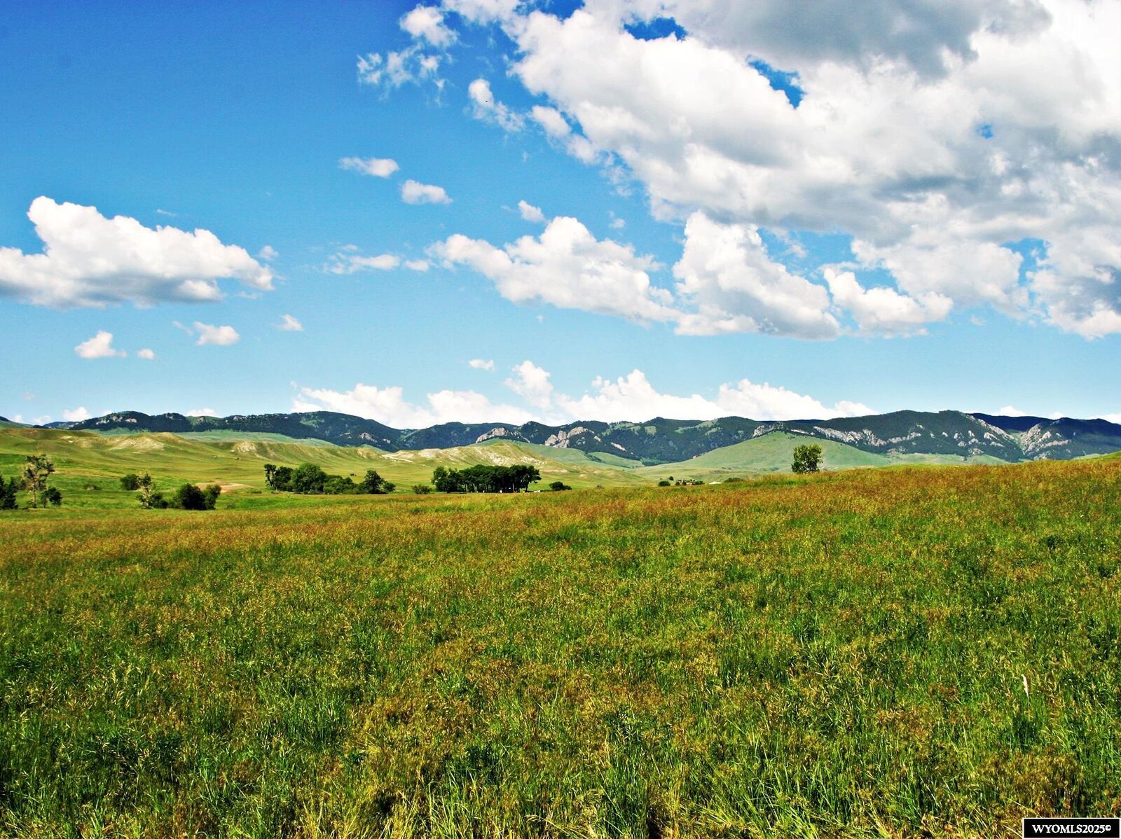 Property Photo:  77 Sand Creek Ranch Road  WY 82834 