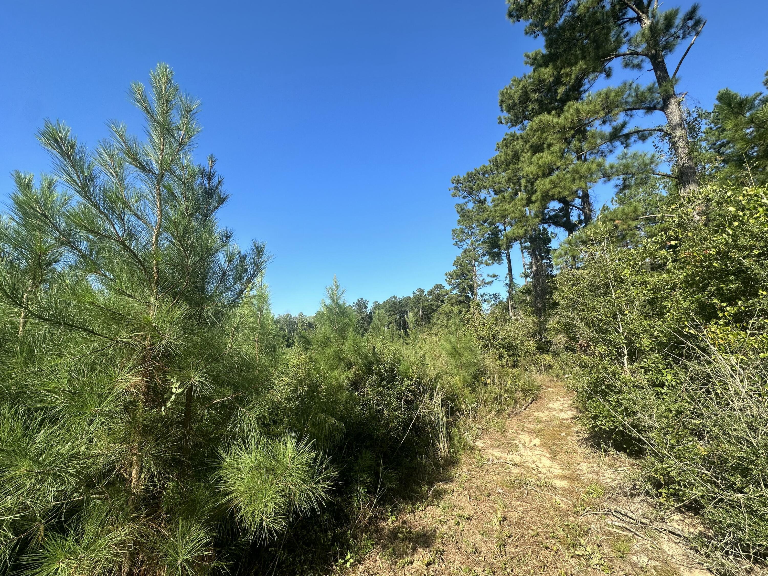Property Photo: Parcel E Millside Road FL 32567