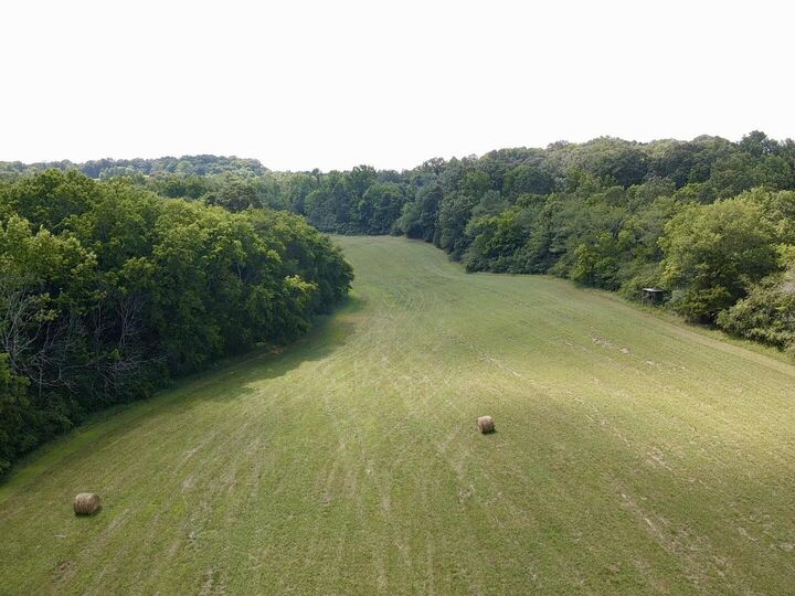Property Photo: 0 County Road 494 AL 35958