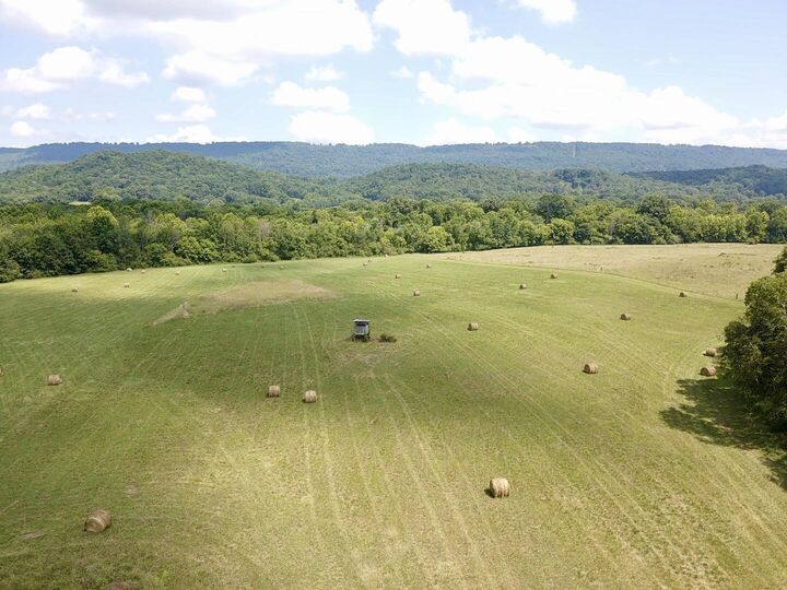 Property Photo: 0 County Road 494 AL 35958