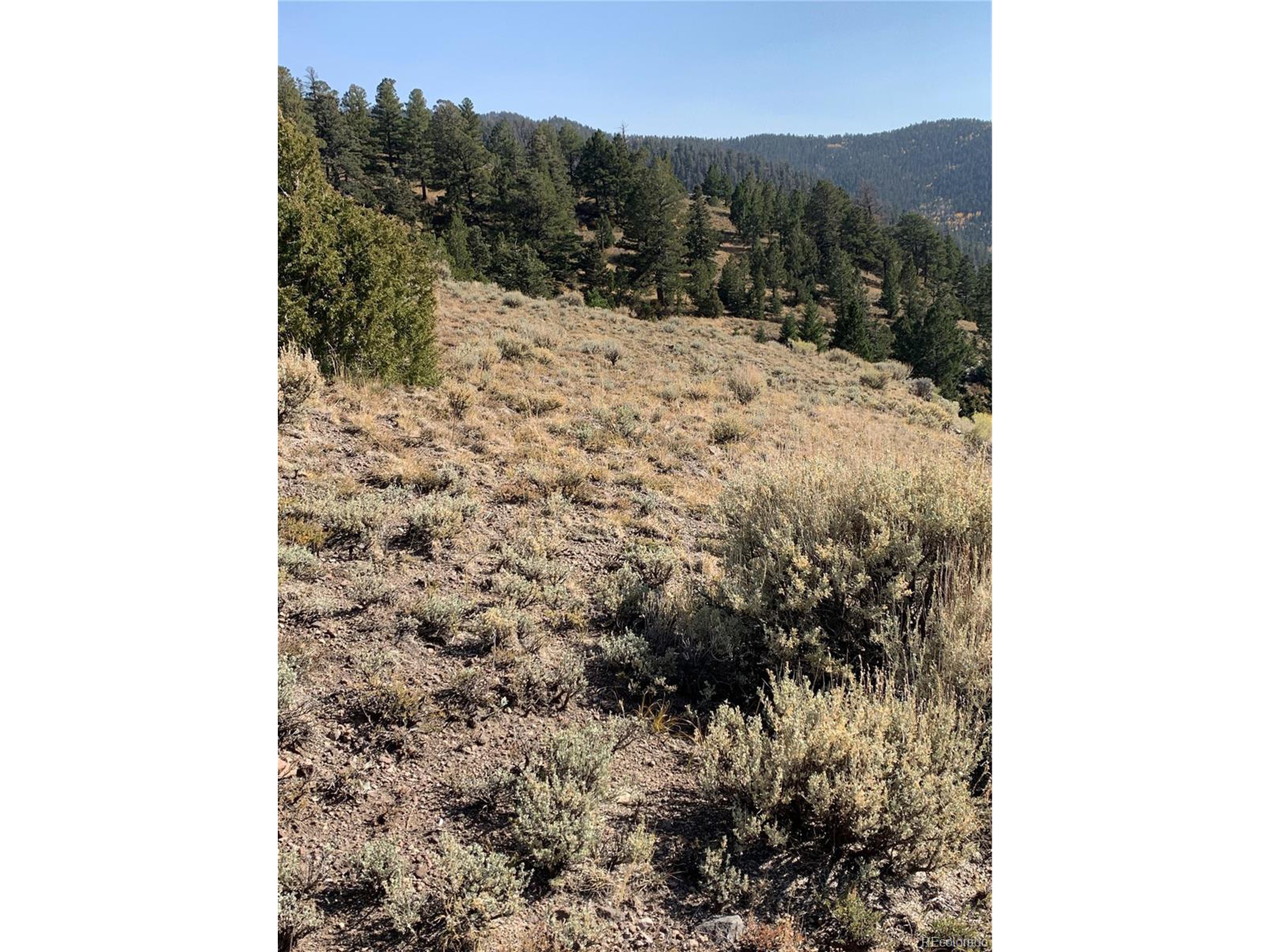 Property Photo: 5079 Delancey Rd CO 81133
