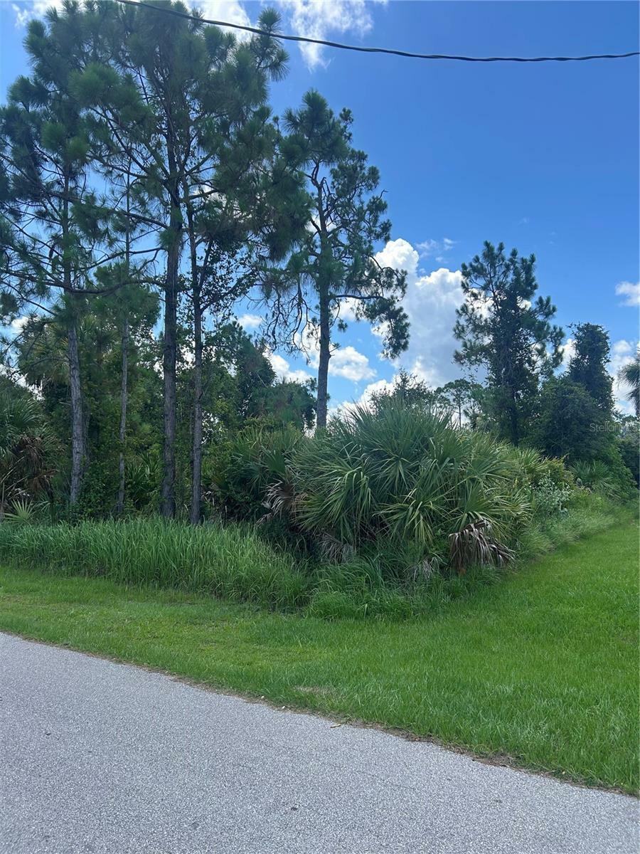 Property Photo: Alesio Avenue FL 34286