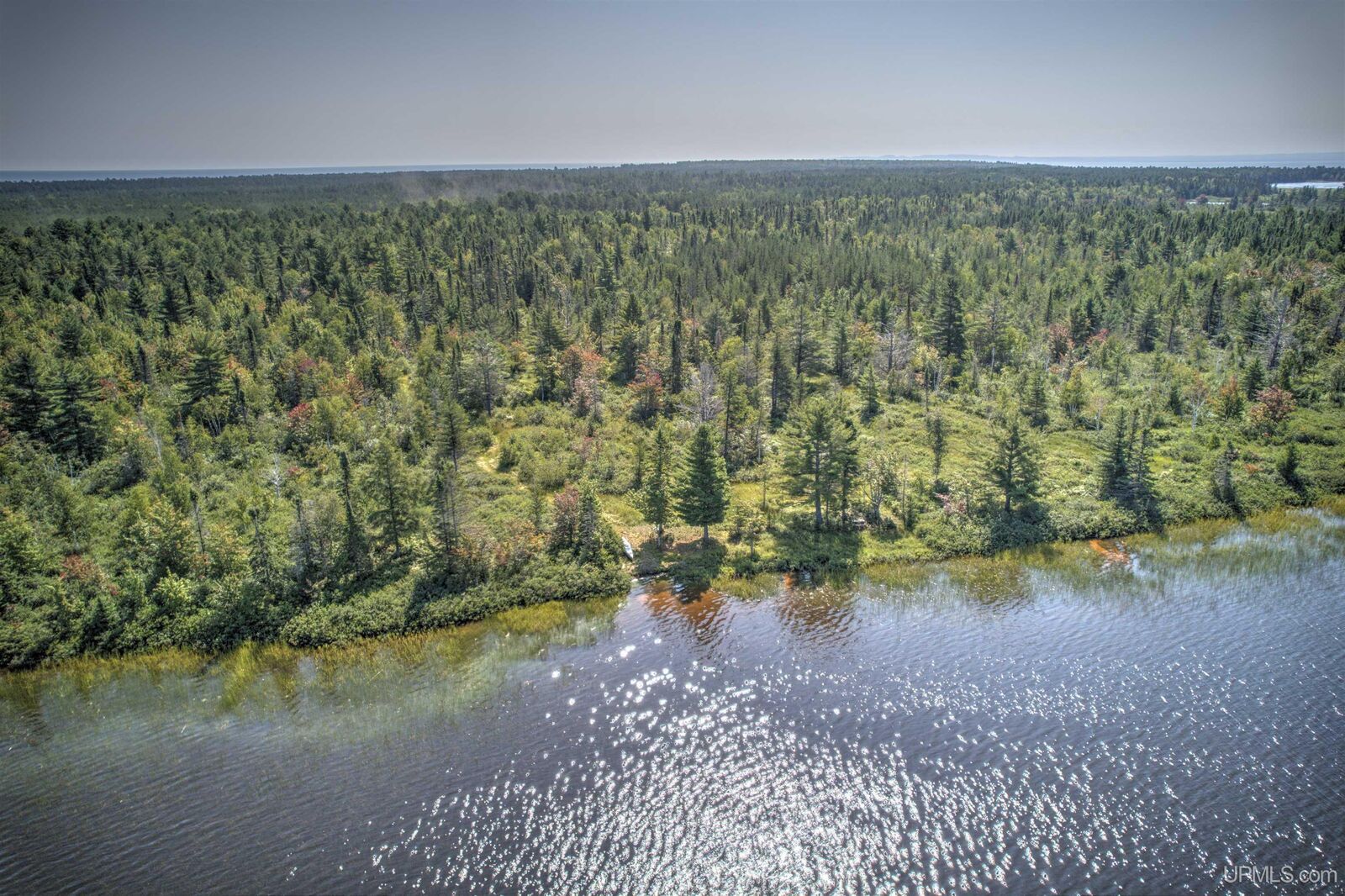 Property Photo:  Tbd Rice Lake Road  MI 49945 
