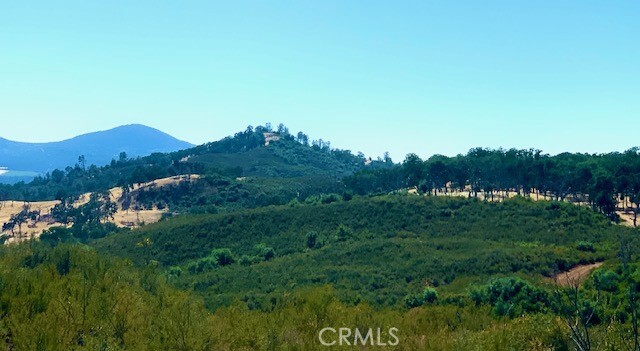 Property Photo:  10455 Sky High Ridge Road  CA 95457 