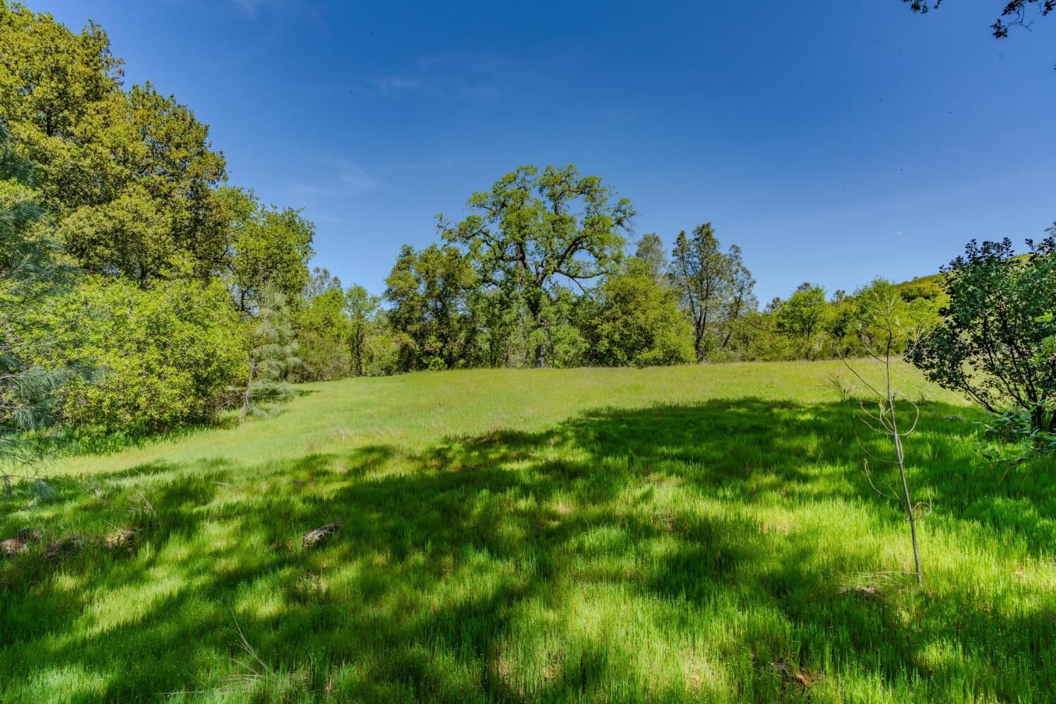 Property Photo:  5650 Red Valley Road  CA 95640 