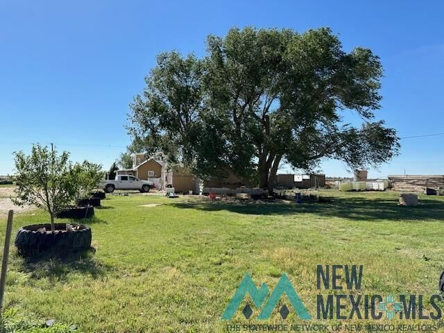 Property Photo:  259 S Roosevelt Road Z Road  NM 88130 