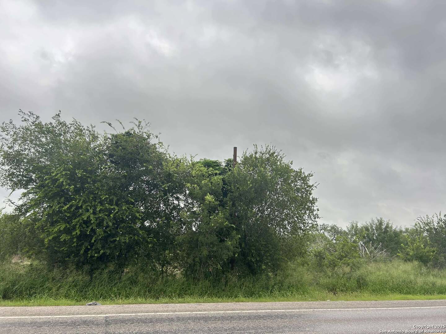 Property Photo:  16875 Fm 1937  TX 78221 