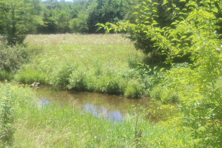 Property Photo:  3176 S 170th Road  MO 65727 
