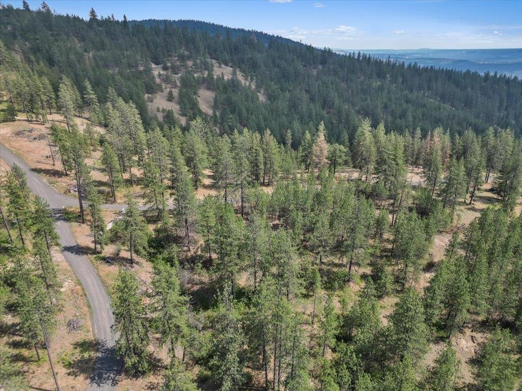 Property Photo: Nka Weaver Way Lot B Of Lot 6 WA 99006