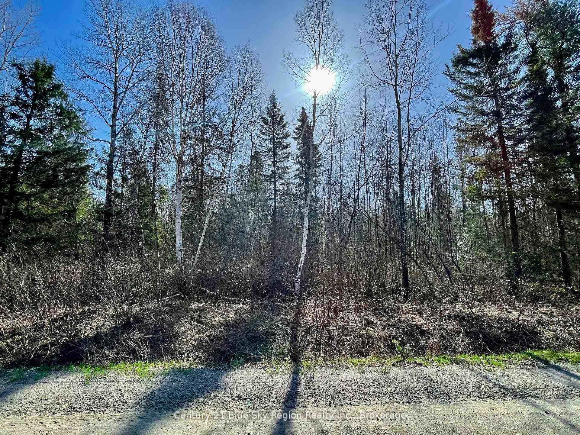 Property Photo:  Part 2 Bourbonnais Road  ON P0H 1M0 