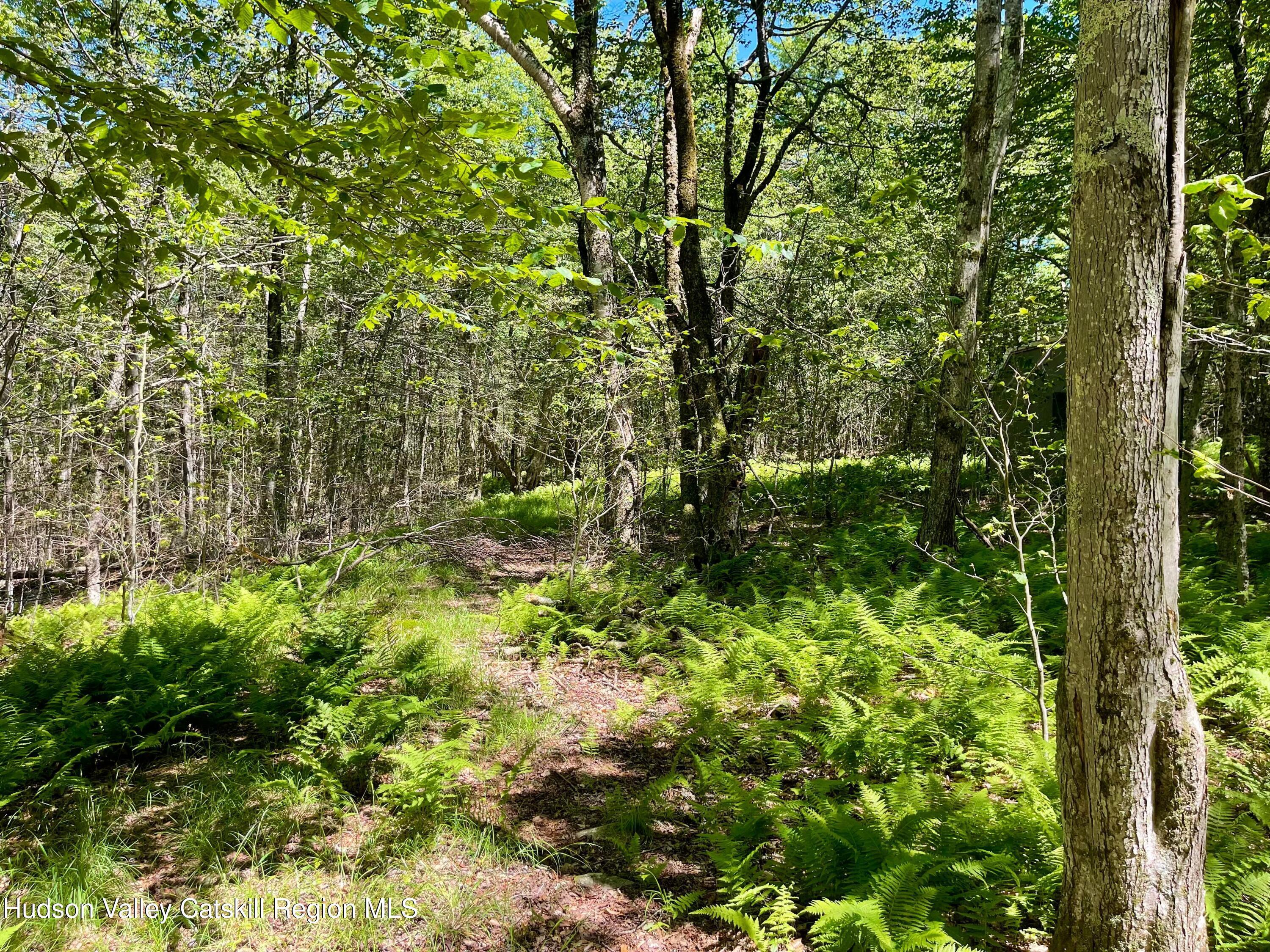 Property Photo:  3045 Red Hill  NY 12740 