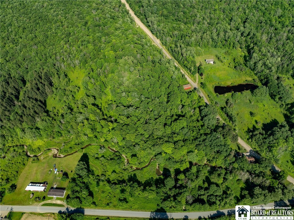 Property Photo: 0 Morgan Hollow Road NY 14737