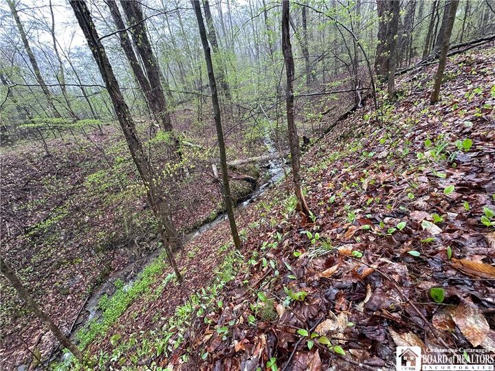 Property Photo:  0 Morgan Hollow Road  NY 14737 